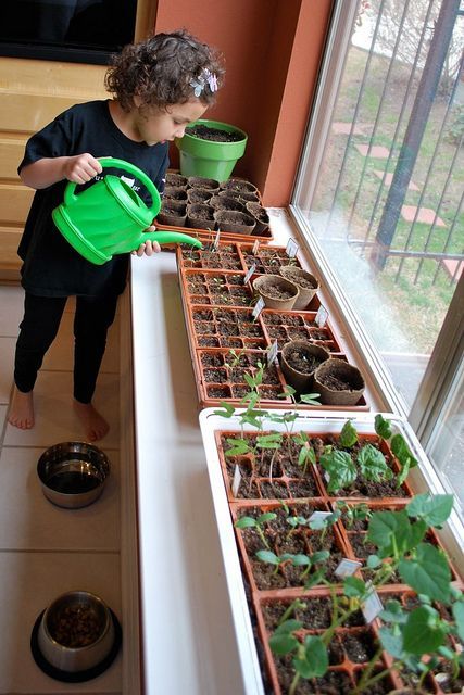 School Kitchen, Reggio Inspired Classrooms, Daycare Design, Reggio Classroom, Kindergarten Design, Indoor Kids, Classroom Layout, Montessori Toddler Activities, Home Daycare