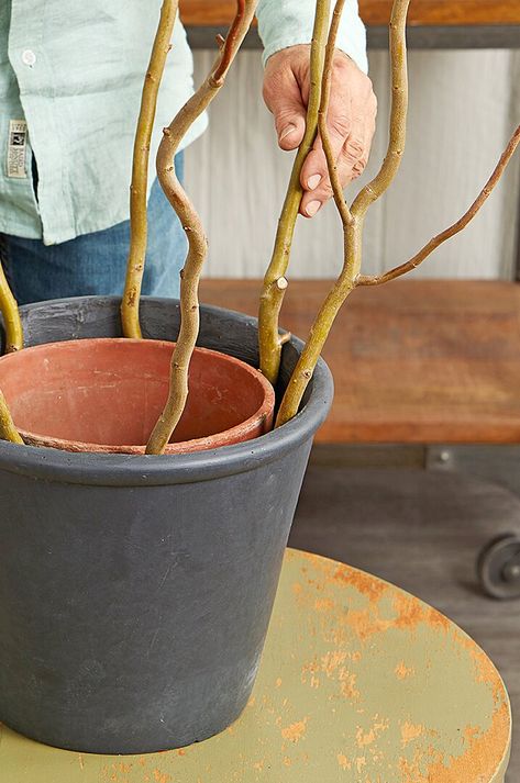 Indoor Plants Styling Boho, Willow Trellis Diy, Potted Plant Ideas Outdoor, Curly Willow Branches Decor, Diy Wire Plant Trellis Indoor, Flower Pot Arrangements Outdoor, Plants For Outdoor Patio, Diy Willow Tree, Climbing Plants In Pots