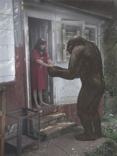 "My biggest laughter comes from the mountains of East Tennessee," said the reviewer of the television special about the Bigfoot "encounters" from that locale. Images. Chupacabra Real, Pulling Out Hair, Cryptid Creatures, Bigfoot Encounters, Skunk Ape, Mountain Monsters, Bigfoot Pictures, Pie Grande, Mary Green