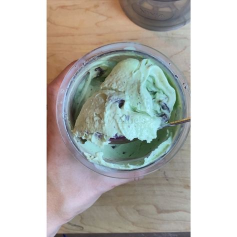 Mint Chocolate Chip Protein Ice Cream - Chef Allie's Kitchen Macros Breakfast, Simple Ice Cream, Ninja Creamy, Protein Ice Cream Recipe, Frosted Lemonade, Vanilla Protein Shakes, Creami Recipes, Pint Of Ice Cream, Ice Cream Maker Recipes