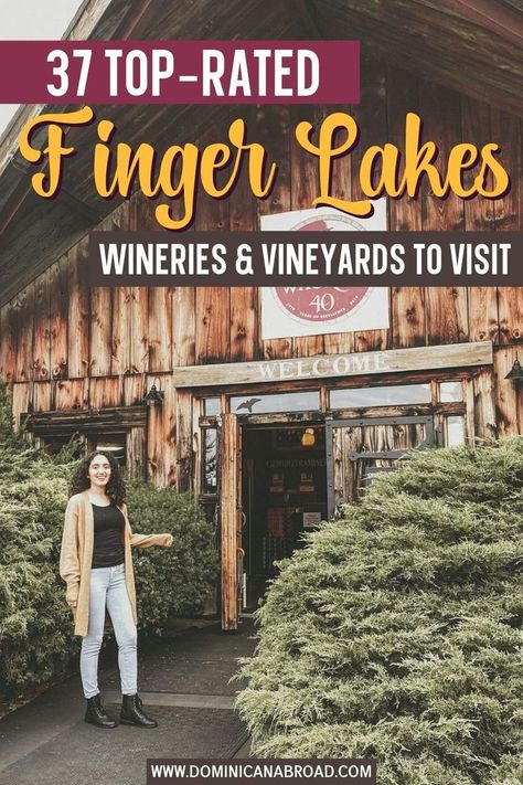 37 Top-Rated Finger Lakes Wineries & Vineyards to Visit Finger Lakes Wine Tour, Fingerlakes Ny Wineries, Finger Lakes Things To Do, Finger Lakes Wineries, Finger Lakes Ny, Fort Drum, Seneca Falls, Keuka Lake, Winter Retreat