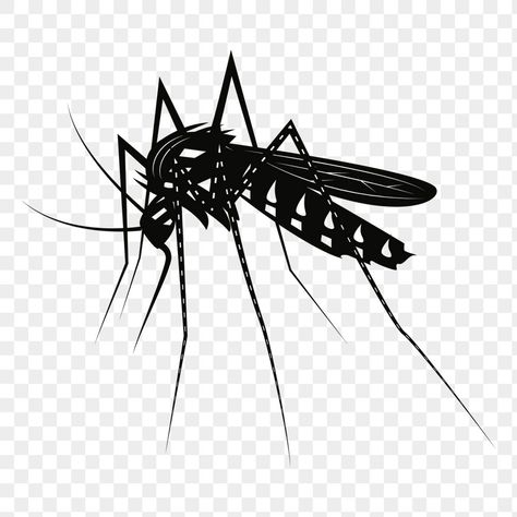 Mosquito Cartoon, Insect Illustration, Drawing Cartoon, Cartoon Drawing, Public Domain Images, Vintage Illustration, Cartoon Drawings, Free Png, Public Domain