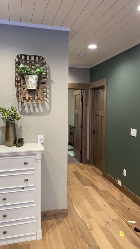 Sherwin Williams Pewter Green, Fawn Brindle, Gray Basement, Basement Colors, Basement Paint Colors, Basement Painting, Pewter Green, Basement Makeover, Room Curtains