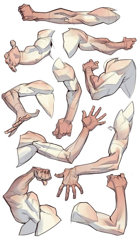 D Drawing, Oc Character Design, Drawing Arms, Arm Anatomy, Human Anatomy Drawing, Hand Drawing Reference, Human Anatomy Art, Anatomy Sketches, Anatomy Poses