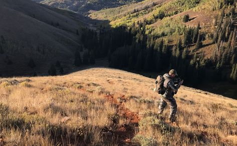 8 Tips for Rifle Hunting Elk for the First Time | Mossy Oak Elk Hunting Tips, Cow Elk, Elk Hunting Gear, Coyote Hunting, Types Of Hunting, Deer Hunting Blinds, Bull Elk, Pheasant Hunting, Bowfishing