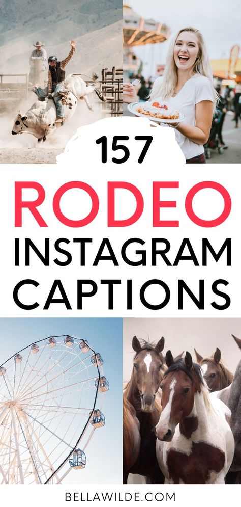 Western Selfie Captions, Livestock Instagram Captions, Rodeo Quotes Funny, Short Cowgirl Quotes, Cow Instagram Captions, Rodeo Quotes Instagram, Stagecoach Captions, Cow Captions For Instagram, Rodeo Instagram Captions