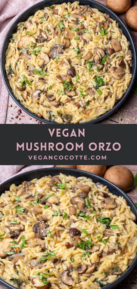 Vegan Mushroom Orzo Healthy Vegetarian Recipes Dinner Easy, Vegan Mushroom Orzo, Vegan Mushroom Orzo Recipes, Vegan Light Dinner, Orzo Vegan Recipes, Orzo Recipes Vegetarian, Fast Vegan Meals, Light Vegan Dinner, Vegan Orzo Recipes