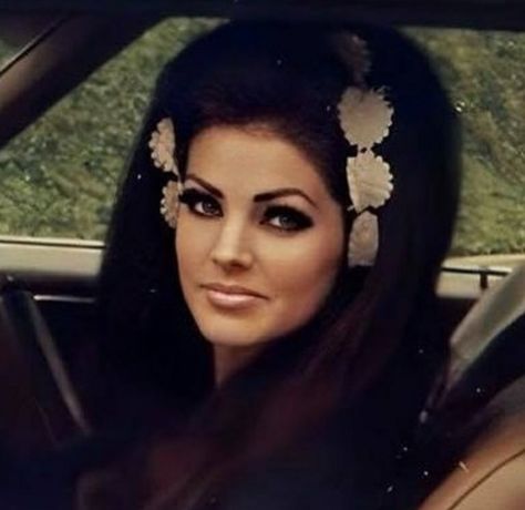 Priscilla Presley 60s, Precillia Presley, Priscilla Presley Hair, Priscilla Presley Style, Busy Quotes, Young Priscilla Presley, Terrence Loves You, Elvis Presley Priscilla, 60s Makeup