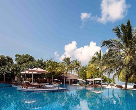 Infinity Pool at Hideaway Beach Resort Meeru Maldives, Male City, Resort Island, Stunning Hotels, Water Villa, Maldives Resort, Romantic Escapes, Meeting Rooms, The Maldives