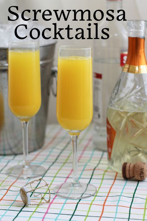 Screwmosa Cocktails Recipe: Add a little oomph to your next brunch by serving screwmosa cocktails, the delightful offspring of a screwdriver and a mimosa. That’s right orange juice, vodka and sparkling wine! Mimosa Recipe Easy, Best Mimosa Recipe, Orange Juice Cocktails, Cocktail Recipes Tequila, Orange Juice And Vodka, Winter Cocktails Recipes, Breakfast Cocktails, Vintage Cocktails, Orange Vodka