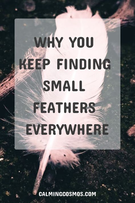 Discover the hidden symbolism behind different colored feathers in our latest blog post. From the meaning of small feathers to the significance of brown, white, black, and gray feathers, learn about the messages they may be sending you. Understanding these symbols can provide insight and guidance in your life journey. Embrace the magic that surrounds you and let these feather meanings inspire and uplift you on your path today! Black Feather Meaning, White Feather Meaning, Feather Magic, Finding Feathers, Feather Meaning, Colored Feathers, Spiritual Advisor, Signs From The Universe, Coloured Feathers