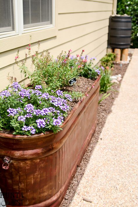 Master Gardener Home Garden Tour: Walk through this homeowner completed ladscape filled with salvaged planters, upcycled accents, creative flower bed borders, inventive erosion control, bee hives and curb side bird baths. Flower Bed Borders, Upcycled Planter, Master Gardener, Creative Gardening, Garden Tours, Garden Bed, Flower Bed, Décor Diy, Garden Cottage