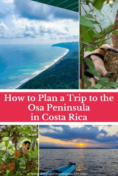 How to Plan a Trip to the Osa Peninsula in Costa Rica - The Globetrotting Teacher Corcovado National Park, Travel Caribbean, South America Destinations, Relaxing Travel, Puntarenas, Central America Travel, Montezuma, Plan A Trip, Costa Rica Travel