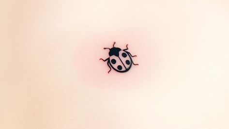 15 Ladybugs Minimal Tattoos That Are Simply Adorable Matching Ladybug Tattoos, Ladybug Tattoo Small Simple, Simple Bug Tattoo, Cute Ladybug Tattoo, Small Ladybug Tattoo, Ladybug Tattoo Design, Ladybird Tattoo, Ladybug Tattoo, Black Ladybug