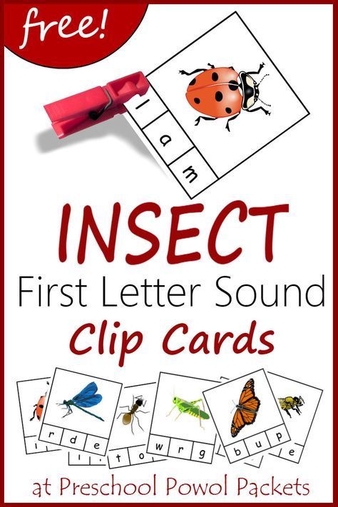 Perfect! Print and go!! Insect themed first letter sound recognition clip cards!! Free printable for preschool and kindergarten! Dragonfly Preschool Activities, Preschool Insects Activities, Bug Board, Insect Study, Grandma Camp, Letter Sound Recognition, Interesting Insects, Bug Activities, Literacy Activities Preschool