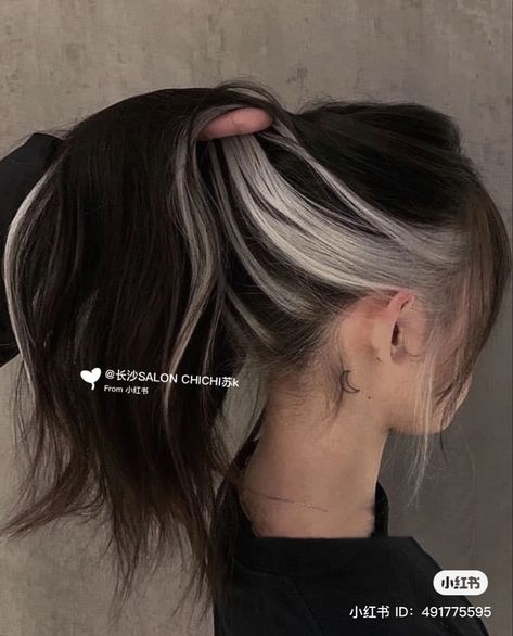 White And Brunette Hair, Silver Hair Underneath Brown, Goth Hair Highlights, Brown Hair With Platinum Underneath, Single Blonde Streak, Dark Hair With Silver Underneath, Brunette Hair With White Streak, Dark Brown Hair With White Money Piece, Hair Strands