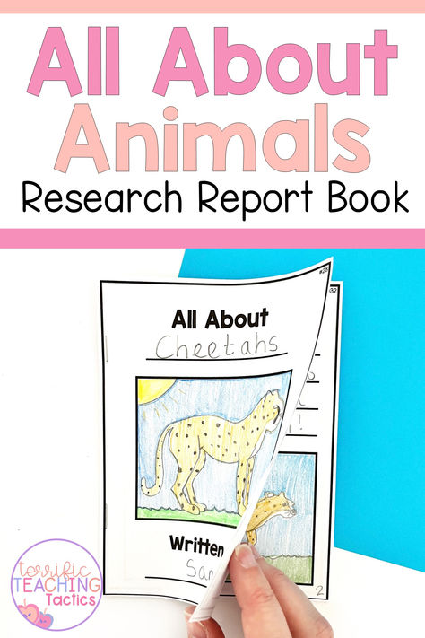 Are you wondering how to teach 2nd grade informational writing? This second grade informative writing unit includes writing prompt task cards, mentor texts, lesson plans, assessment rubric, anchor charts, worksheets, and this all about animals booklet. How do you teach 2nd grade expository writing? This non-fiction writing unit is perfect for grade 2. Students create information reports. They can write an animal research report about cheetahs or lions! Terrific Writing is a writing curriculum. Animal Reports 2nd Grade, 2nd Grade Animal Research Project, Nonfiction Writing Anchor Charts, 2nd Grade Writing Activities, Informational Writing Anchor Chart, Writing Informational Text, Teaching Informational Text, Informative Writing, Animal Research