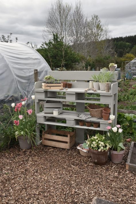 Mini Allotment Ideas, Flower Allotment Ideas, Unusual Allotment Ideas, Pretty Allotment Ideas, Allotment Storage Ideas, Modern Allotment, School Allotment Ideas, Allotment Garden Ideas, Uk Allotment Ideas