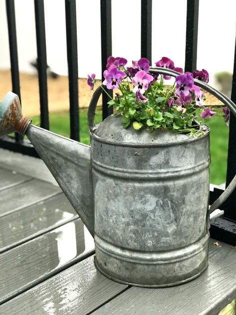 Vintage galvanized planter with flowers Repurposed Planter Ideas, Ideas For Planters, Watering Can Planter, Repurposed Planter, Galvanized Planters, Metal Watering Can, Vintage Garden Decor, Diy Outdoor Decor, Most Beautiful Gardens