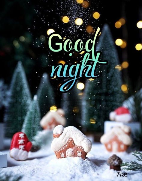 Cozy Good Night Images, Good Night Winter Images, Winter Good Night, Good Night Sleep Well, Good Morning Winter, Good Night Friends Images, 21 December, Good Night Funny, Xmas Pictures