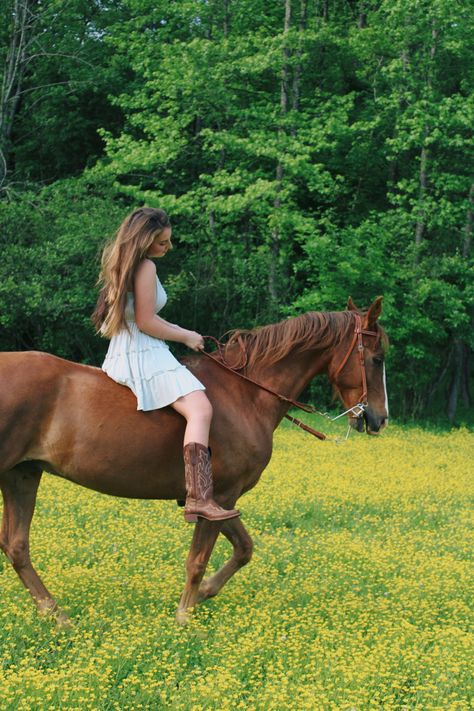 Horse And Rider Photoshoot Ideas, Fergie Photoshoot, Equestrian Graduation Pictures, Horse Birthday Photoshoot, Horse Senior Pictures Dress, Equine Senior Pictures, Senior Pictures Ideas High School, Equestrian Photoshoot Ideas, Equestrian Senior Pictures