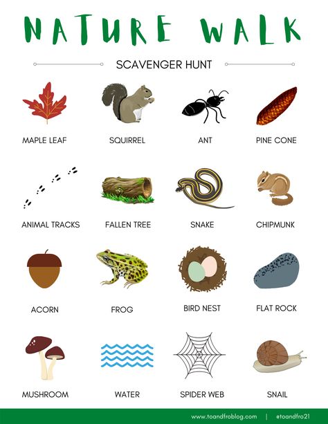 Next time you are outdoors with the family, take along one of these Nature Scavenger Hunts - download and print for FREE at home. Nature Scavenger Hunt, Kindergarden Activities, Scavenger Hunts, Animal Tracks, Family Camping, Scavenger Hunt, Autumn Trees, Chipmunks, Tent Camping