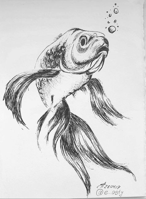 Fish Sketch, Shading Drawing, Drawn Fish, Nature Art Drawings, Pen Art Drawings, Fish Drawings, Step Drawing, Animal Sketches, Ink Illustrations