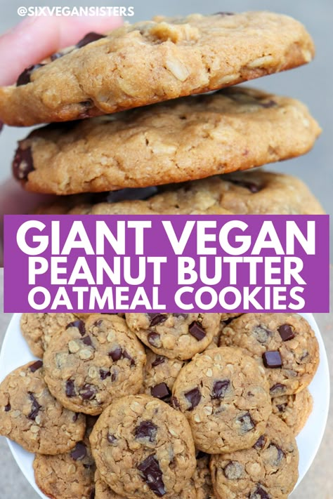 Vegan Pb Cookies, Vegan Peanut Butter Oat Cookies, Vegan Nut Free Cookies, Vegan Chocolate Crinkle Cookies, Vegan Peanut Butter Oatmeal Cookies, Peanut Butter Oatmeal Chocolate Chip, Peanut Butter Oatmeal Chocolate Chip Cookies, Completely Delicious, Butter Oatmeal Cookies