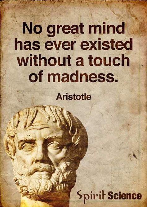 No great mind has ever existed without a touch of madness. - Aristotle, 384-322 BC . ancient greek philosopher Quotes Aristotle Quotes, Restless Soul, Stoicism Quotes, Stoic Quotes, Spirit Science, Historical Quotes, Philosophical Quotes, Warrior Quotes, Philosophy Quotes