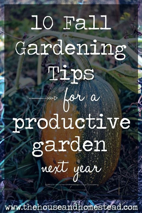 10 Fall Gardening Tips For A Productive Garden Next Year Productive Tips, Productive Garden, Whimsical Garden Art, Fall Gardening, Herbs Garden, Garden Junk, Organic Vegetable Garden, Flower Gardening, Garden Art Sculptures Diy