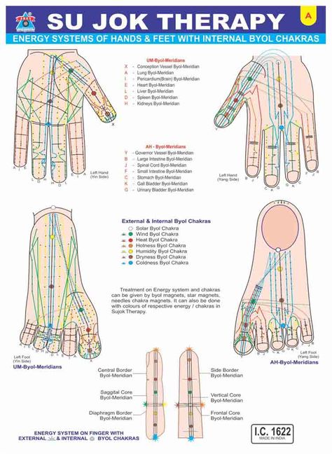 Acupressure Chart, Sujok Therapy, Acupuncture Points Chart, Lymph Drainage Massage, Ear Reflexology, Reflexology Foot Chart, Turmeric Vitamins, Naturopathic Medicine, Body Map