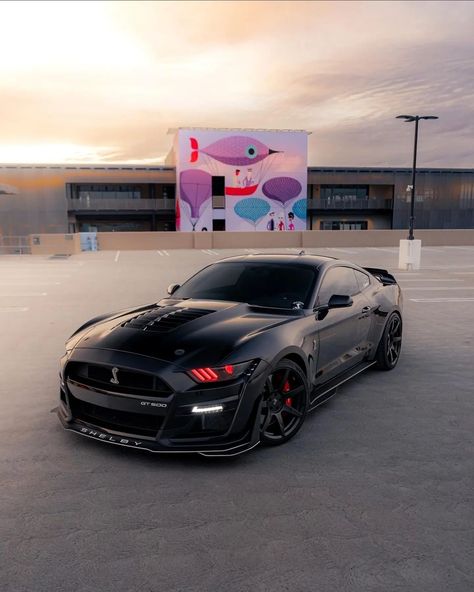 2024 Ford Mustang, Car Dream, Shelby Mustang, Ford Mustang Shelby Gt500, Shelby Gt500, Ford Mustang Shelby, Best Luxury Cars, Mustang Shelby, Mustang Gt