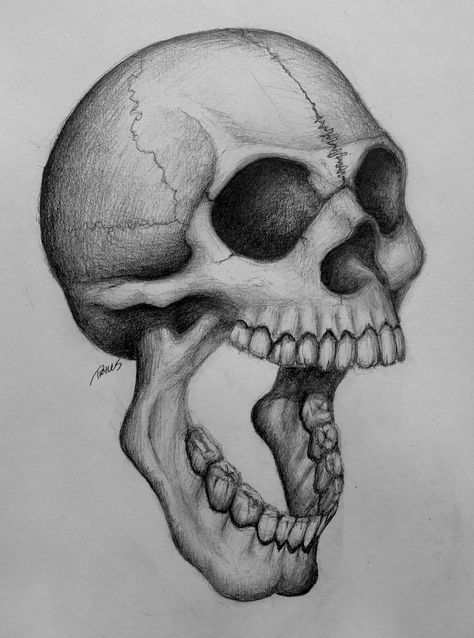 Crazy Sketches Ideas, Skull Drawing With Mouth Open, Stack Of Skulls Drawing, Skull With Open Mouth, Skulls Gcse Art, Bridgerton Embroidery, Sideways Skull, Skull Eating, Skellington Drawing