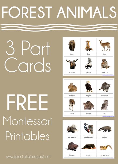 Forest Animals Montessori Printables – FREE 3 Part Cards - 1+1+1=1 Free Montessori Printables, Montessori Printables Free, Tub Activities, Aba Materials, Forest Animals Preschool, Learning Folder, Animal Homes, Montessori Activities Preschool, Forest Animals Theme