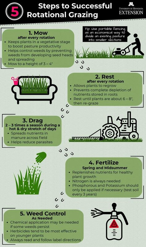 Rotational Grazing Horses, Rotational Grazing Goats, Cattle Farming Ideas, Rotational Grazing Layout, Cow Pasture Ideas, Horse Pasture Layout, Agritourism Ideas Farms, Small Farm Layout, Cow Farm Ideas