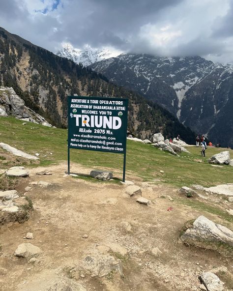 I have spent most of the time near beaches in my life. But found my home in the mountains last year. Magical moments with my lover in the lap of Himalayas. Mountains makes you slow down, be present and become one with the nature. #kangravalley #dharamkot #triund #slowliving #naturetherapy Yoga Wall, My Lover, Mountain Homes, Magical Moments, Be Present, Adventure Tours, Tour Operator, Slow Living, The Nature