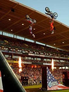 Love Motorcycle, Travis Pastrana, Ninja Bike, Bmw Touring, Freestyle Motocross, Nitro Circus, Dirt Biking, Cool Dirt Bikes, Motorcross Bike