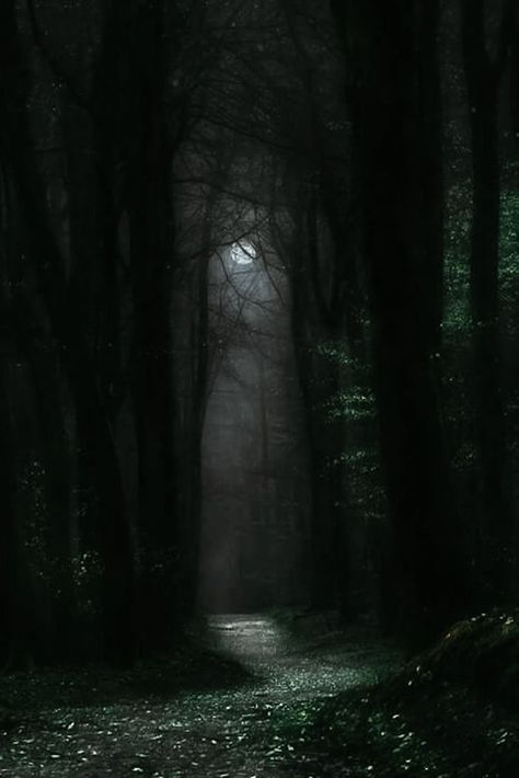 Dark Earthy Aesthetic, Dark Naturalism Aesthetic, Poison Tree, Dark Naturalism, Dark Forest Aesthetic, Dark Castle, Dark Landscape, Castle Aesthetic, Forest Aesthetic