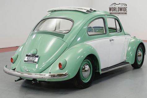 1960 Volkswagen Beetle Green Volkswagen Beetle, Beetle Vw, Vw Beetle Classic, Vw Beetle, Vw Beetles, Volkswagen Beetle, Car Decor, Cool Cars, Dream Cars