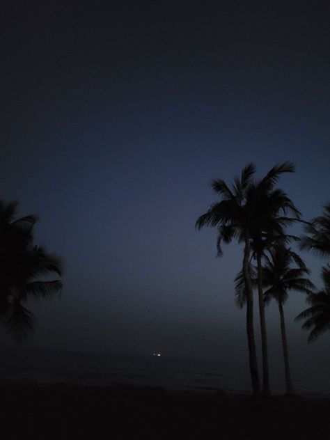 Night Time Palm Trees, Palm Tree At Night, Night Palm Trees, Night Palm, Black Palm Tree, Palm Tree Background, Beach Silhouette, Dark Beach, Dark N Stormy