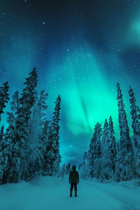 Snowflake Photography, Santa Claus Village, Finnish Lapland, Finland Travel, Show Yourself, Aurora Borealis Northern Lights, Artsy Pictures, Romantic Anime Couples, Vacation Planner