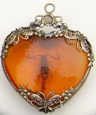 RARE ANTIQUE SILVER AMBER SCORPION CAMEO HEART PENDANT sold for $152. Bijoux Art Nouveau, Amber Fossils, Chinese Jewelry, Funky Jewelry, Amber Jewelry, Bijoux Diy, Pretty Jewellery, Rare Antique, Scorpion