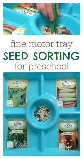 Preschool Gardening, Garden Unit, Preschool Garden, Plants Unit, Preschool Science Activities, Garden Activities, Preschool Fine Motor, Science Activity, Spring Preschool