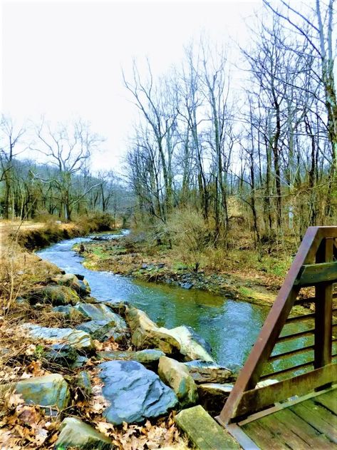 Ruins & Waterfall Trail in Bernadette Morales Trails - Flemington, NJ Activity Flemington Nj, Cedar Forest, Rock Walls, Waterfall Trail, Nature Trails, Small Waterfall, Historical Landmarks, Beautiful Rocks, Nature Preserve