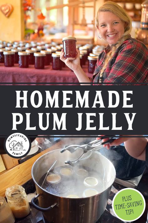 How To Make Plum Jelly, Plum Jelly Recipes For Canning, Plum Jelly Recipe Easy, Plum Canning Recipes, Steam Juicer Recipes, Plum Juice Recipes, Plum Jelly Recipe, Canning Plums, Steam Juicer