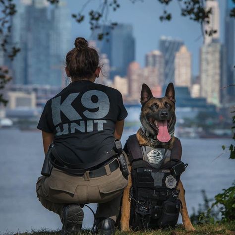 Police Officer Appreciation Gifts, Cop Dog, K9 Police Dogs, Police Academy Training, K9 Police, K9 Officer, Police Canine, Dog Soldiers, Dog Hero