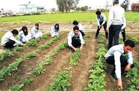 B. Sc. in Agriculture Agriculture Classroom, In Defense Of Food, Career Counselling, Best Colleges, Plant Breeding, Agriculture Industry, Agricultural Science, Garden Services, Career Counseling