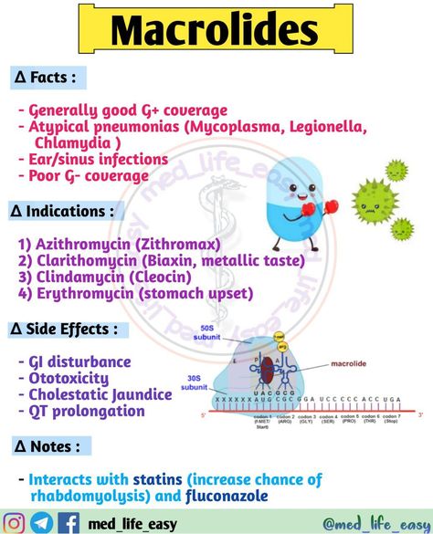 Antibiotic Mnemonic, Antibiotics Pharmacology Mnemonics, Ems Pharmacology, Pharmacology Nursing Flashcards, Pharmacology Antibiotics, Antibiotics Pharmacology, Pharmacology Mnemonics, Nursing Flashcards, Physician Assistant School