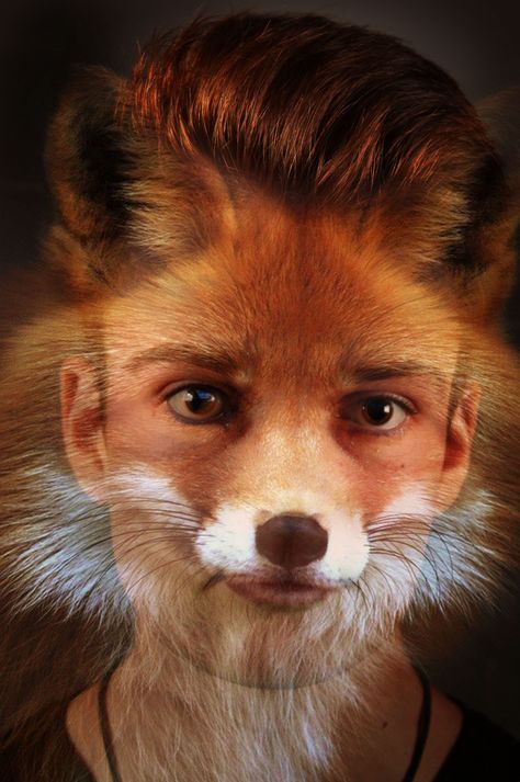 One I tried myself, a boy and fox morphed. Fox Human Hybrid, Fox Hybrid, Fox Human, Human Hybrid, Animal Faces, A Boy, I Tried, Fox, Human