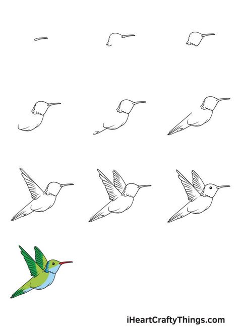 Hummingbird Drawing — How To Draw A Hummingbird Step By Step Drawing Hummingbirds Step By Step, Bird Drawings Step By Step, How To Draw Hummingbird Step By Step, How To Sketch A Bird Step By Step, Hummingbird Vector Illustration, Step By Step Hummingbird Drawing, Hummingbird Simple Drawing, Easy To Draw Bird, How To Draw A Hummingbird Easy